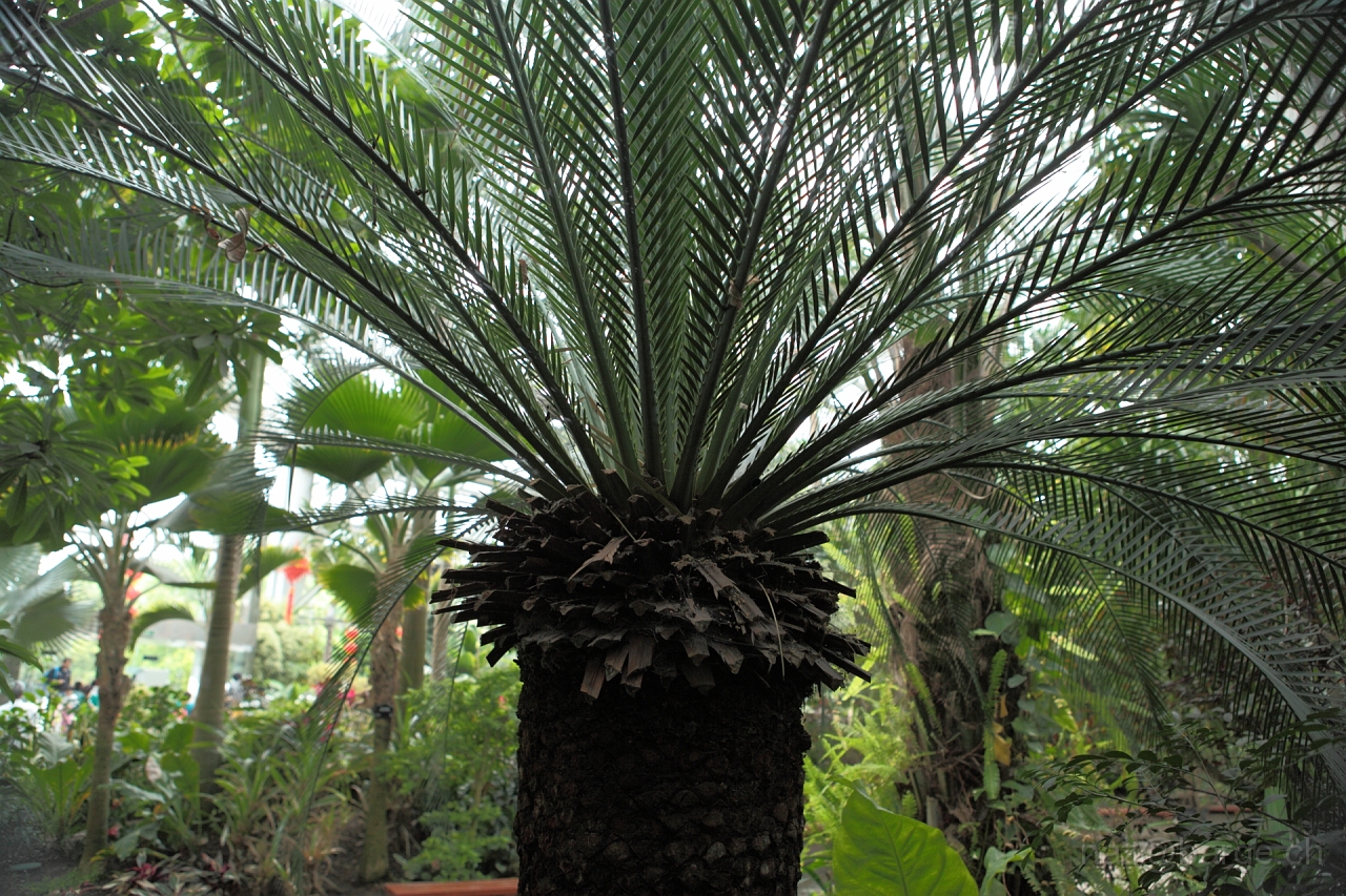 EOS 5D Mark II16_04_20134994.JPG